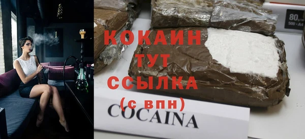 крисы Алзамай