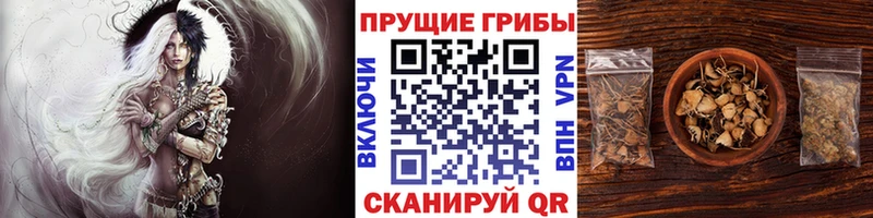 mega ссылка  Анива  Галлюциногенные грибы ЛСД 